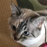 Profilbild von おはぎさん