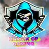 Profilbild von HARDIK OP GAMING