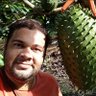 Thiago C. Celestrini profil fotoğrafı
