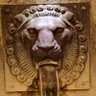K💮T w 🇵🇱 ₿utach ױ's profile picture