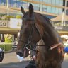 Profilbild von The Racing Man