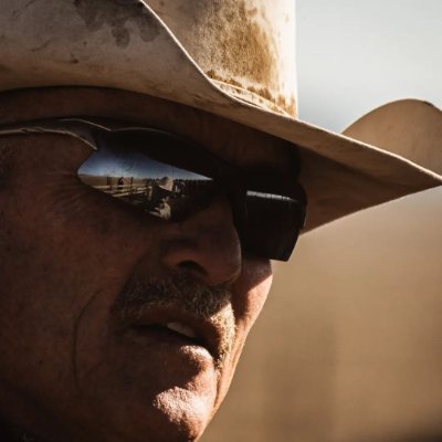Martins77414952's profile picture