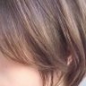 こもも's profile picture