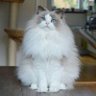 kim scot's profile picture