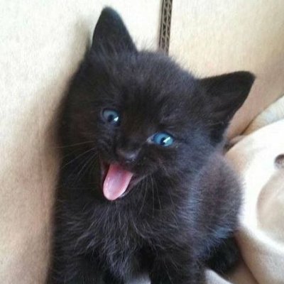 Zyber47's profile picture
