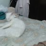 عبد العزيز 的头像