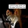 Фото профиля الهوى شمالي