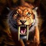 Safe Sayki's profile picture