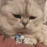 Фото профиля 小狗勾