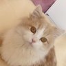 ハイハットボーイ♪ profil fotoğrafı