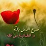 Hazem Elmosly profil fotoğrafı
