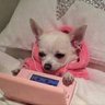 Profilbild von Lazy doge
