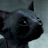 najai's profile picture