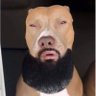 Ijustlostmydawggg profil fotoğrafı