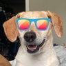 Profilbild von antonio