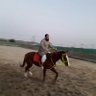 Profilbild von أحمد حفني