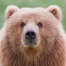 wanda a profil fotoğrafı