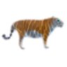 Profilbild von Wooltiger Herder