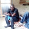 Mamadou Diedhiou's profile picture