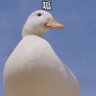Profilbild von 陳乙良