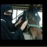البرنسيسه 的头像
