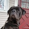 OtherBob's profile picture