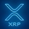 𝕏rp•Bits's profile picture