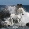 Фото профиля ramiro