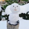 くう's profile picture