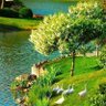 fatima.msadh's profile picture