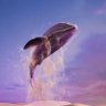ᴮᴱLou₇¹⁰🐋 profil fotoğrafı
