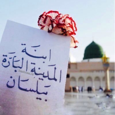 أ.بيلسان المدينه ✩'s profile picture