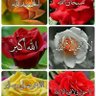 Фото профиля الصياد