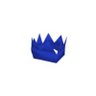 Blue Party Hat profil fotoğrafı