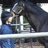 高木 アキラ 的头像