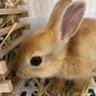 Фото профиля しんす * 🏠🏕🚗🐰🛹