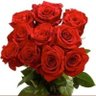 redrose's profile picture