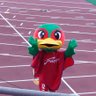 ふみ profil fotoğrafı