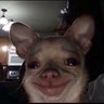 Profilbild von butterflyhole