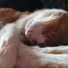 孝弘鈴木 profil fotoğrafı