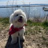 Meiko profil fotoğrafı