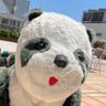 Profilbild von 弥生人に似ているよ