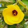 ひろちゃん's profile picture