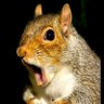 Casi Parecid@s's profile picture