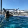 Anastasiia profil fotoğrafı