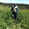 Analyst OKELLO JOEL ONYANGO profil fotoğrafı