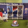 マリシティ 的头像