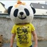 Kevin Schmitz's profile picture