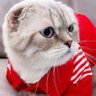 ✈️✨กลัฟหนึ่งเดียว☔🏃♂⚽กลัฟกานต์✨🌻😺✈️ 的头像