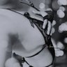 Фото профиля La Sexcritora®️